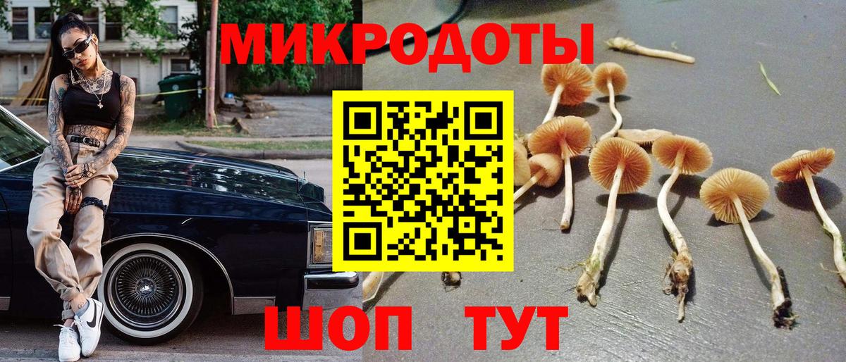 Галлюциногенные грибы ЛСД  Псилоцибиновые грибы ЛСД  Вход с VPN  Нягань 